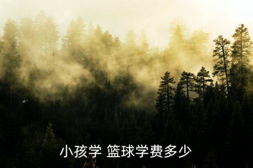 小孩学 篮球学费多少