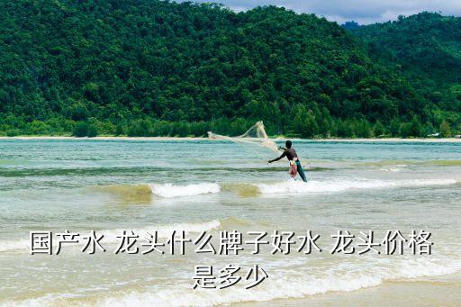 国产水 龙头什么牌子好水 龙头价格是多少