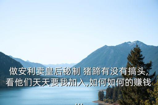 做安利卖皇后秘制 猪蹄有没有搞头,看他们天天要我加入,如何如何的赚钱...