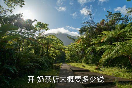开 奶茶店大概要多少钱