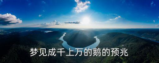 梦见成千上万的鹅的预兆