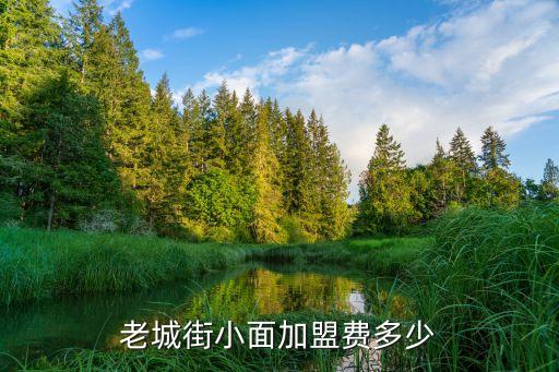 面馆加盟费用低吗多少钱,牛魔王面馆加盟费用