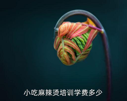 小吃麻辣烫培训学费多少
