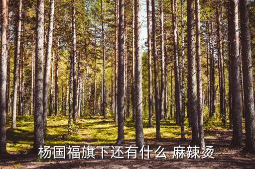 杨国福旗下还有什么 麻辣烫