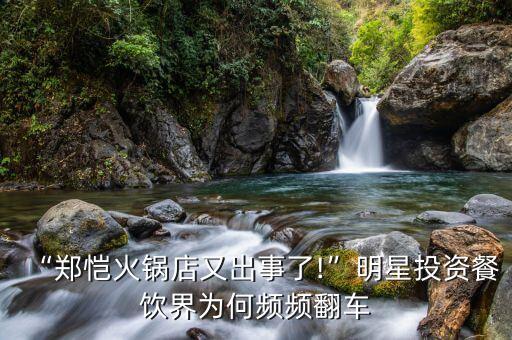 黄晓明餐厅加盟费,北京黄晓明开的餐厅