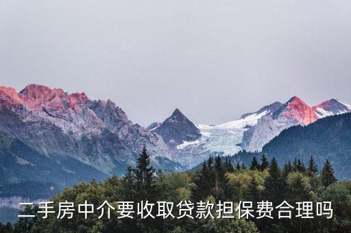 二手房中介要收取贷款担保费合理吗