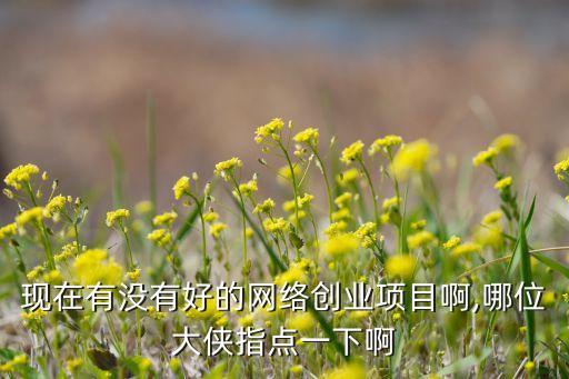 现在有没有好的网络创业项目啊,哪位大侠指点一下啊