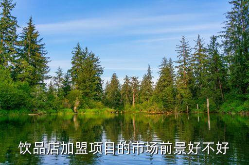 饮品店加盟项目的市场前景好不好
