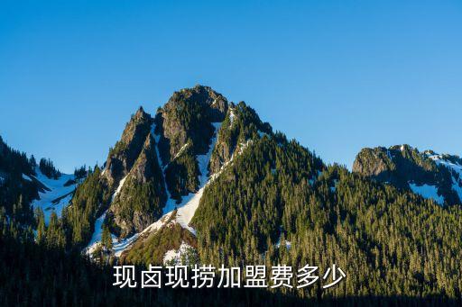 现卤现捞加盟费多少
