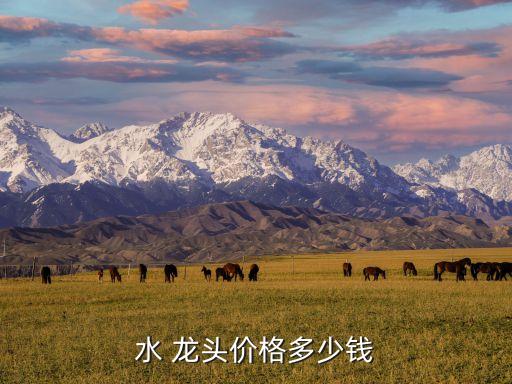 水 龙头价格多少钱