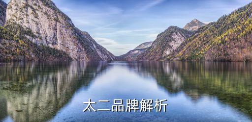 太二品牌解析