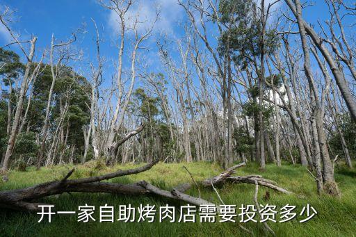 开一家自助烤肉店需要投资多少
