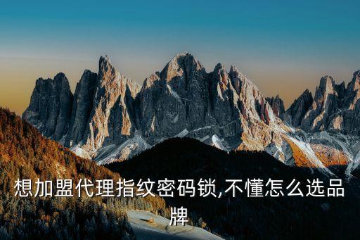 想加盟代理指纹密码锁,不懂怎么选品牌