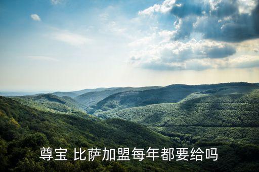 尊宝 比萨加盟每年都要给吗