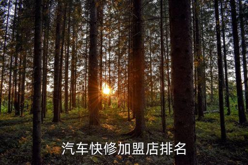 汽车快修加盟店排名
