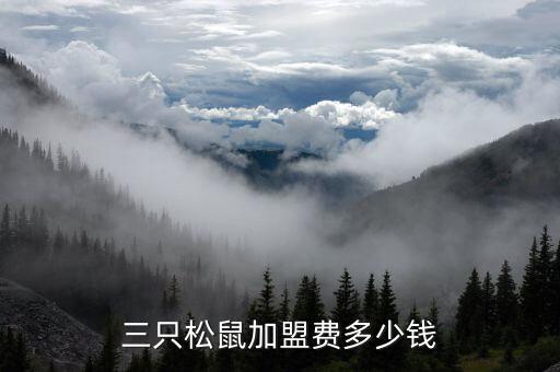 三只松鼠加盟费多少钱