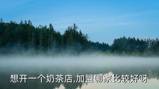 想开一个奶茶店,加盟哪家比较好呀