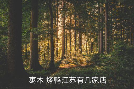  枣木 烤鸭江苏有几家店