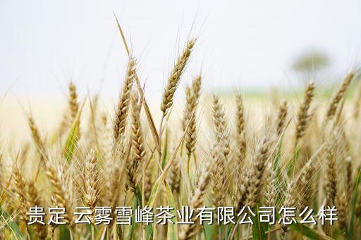 贵定 云雾雪峰茶业有限公司怎么样