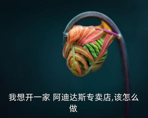 我想开一家 阿迪达斯专卖店,该怎么做