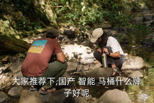 大家推荐下,国产 智能 马桶什么牌子好呢