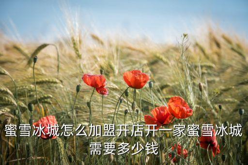 蜜雪冰城怎么加盟开店开一家蜜雪冰城需要多少钱