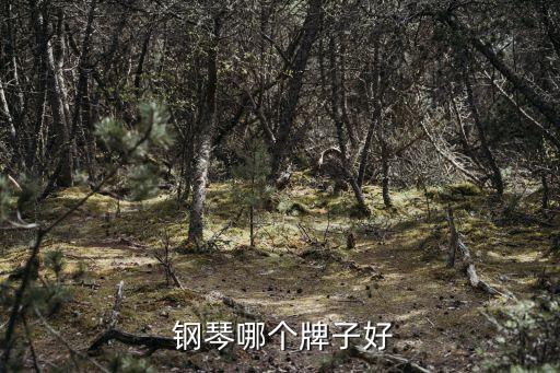 南京立式钢琴加盟费