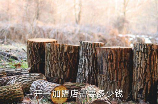 开一加盟店需要多少钱