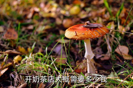 开奶茶店大概需要多少钱