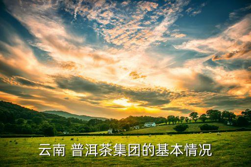 云南 普洱茶集团的基本情况