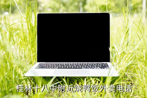 桂林烧鸭加盟费,桂林铭记烧鸭电话