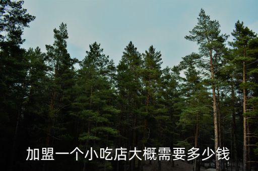 加盟一个小吃店大概需要多少钱