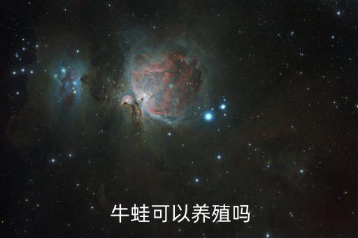  牛蛙可以养殖吗