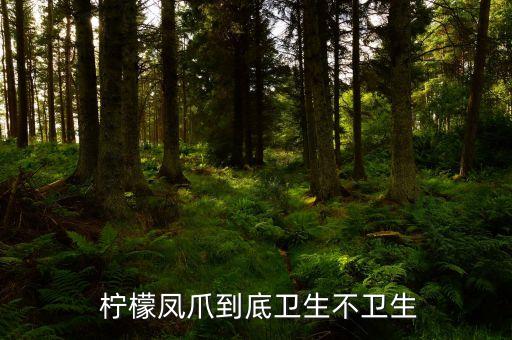  柠檬凤爪到底卫生不卫生